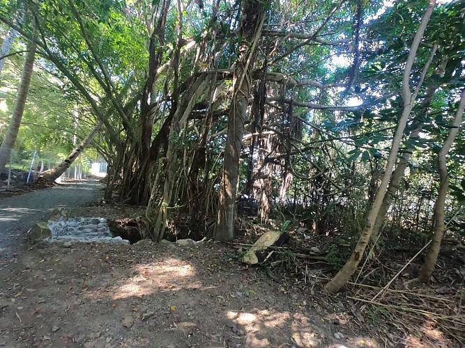 Promenade de Robinson - Boulari