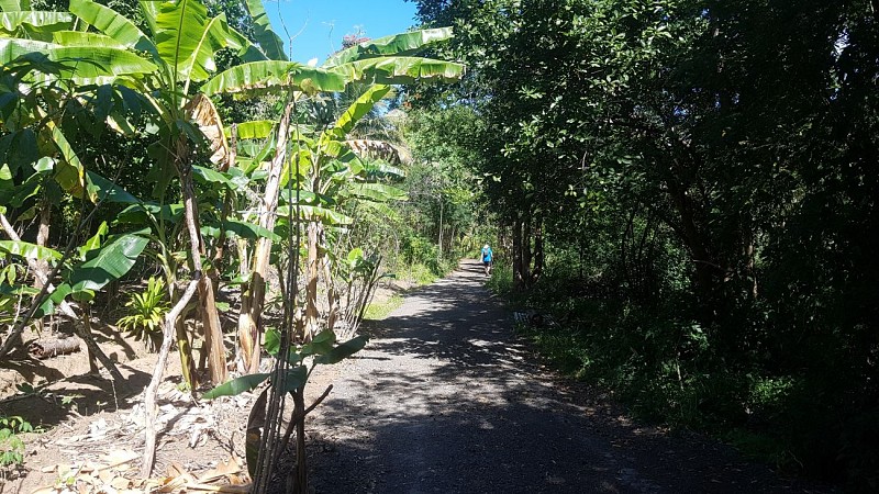 Promenade de Robinson - Boulari