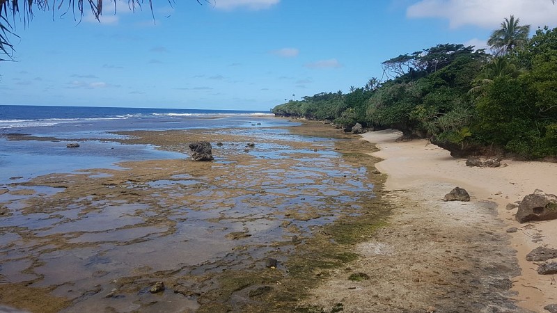 Promenade de Robinson - Boulari