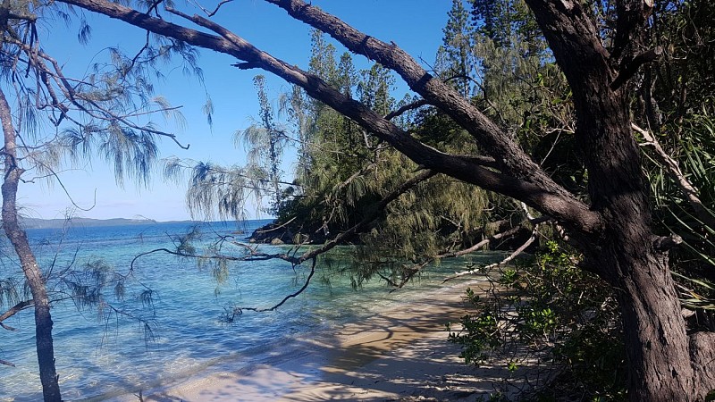 Promenade de Robinson - Boulari