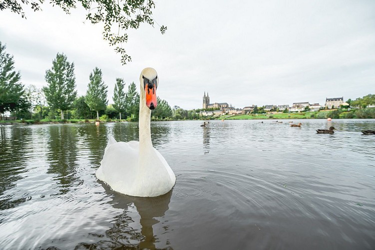 Balade autour des plans d'eau du Prieuré
