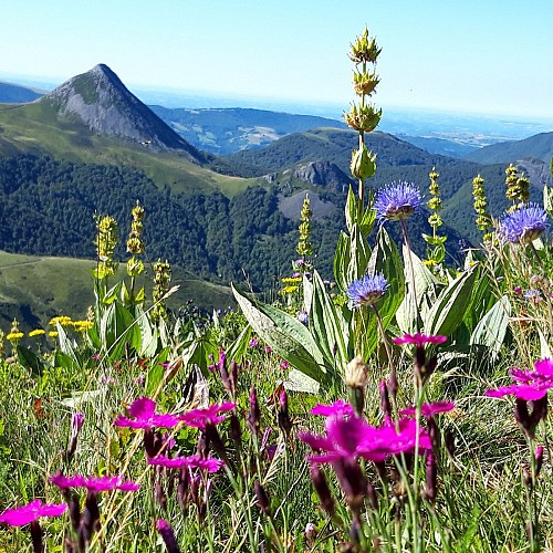 VTT - Le Volcan Ouest