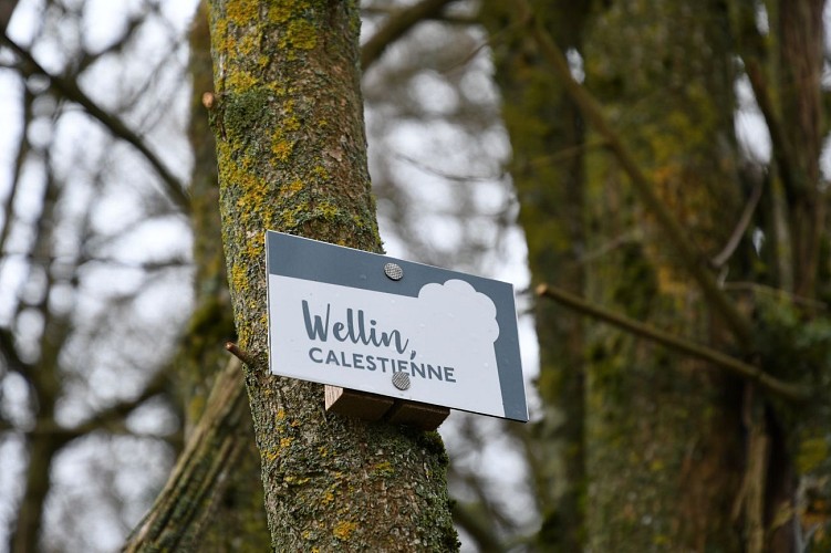 Ontdekkingstocht in de Calestienne in Wellin