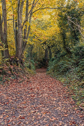 Circuit Les Bonnes Gens - Le Mesnilbus
