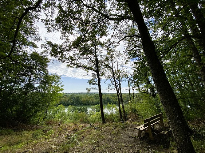 Barbeau Forest