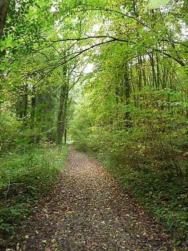 VTT - Le tour de Mortier