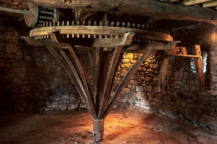 VTT - Le tour de Mortier