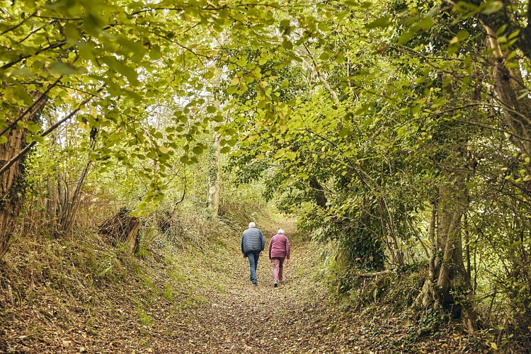 Circuit de l'Ay - Ancteville, Servigny, La Vendelée