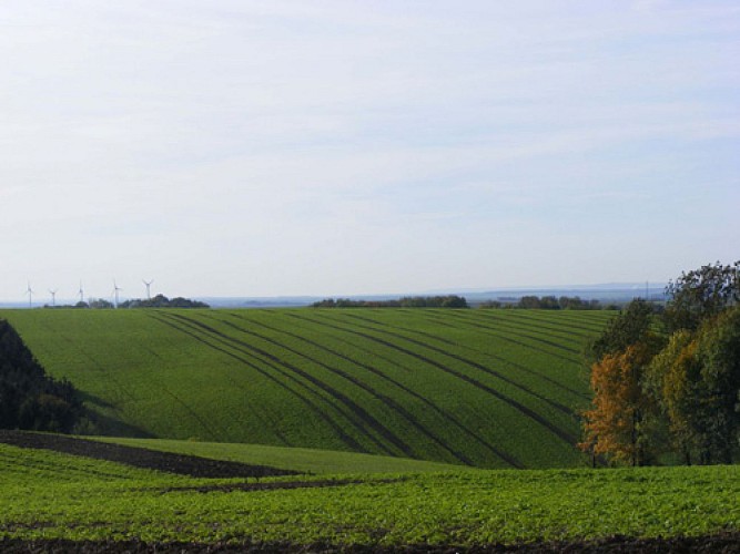 VTT - Le tour des communes associées