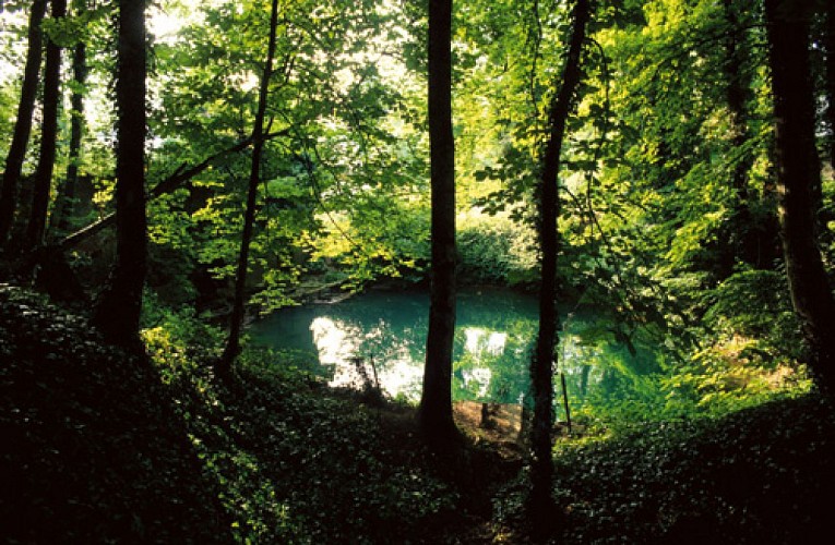 VTT- La fontaine rouge