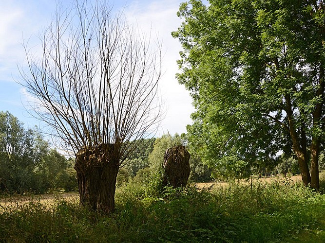 Lens-Saint-Remy les Chevêes Alain François (2)
