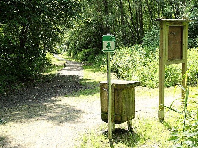 Zone Naturelle du Wachnet 062A8364 ©