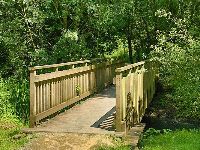 Zone Naturelle du Wachnet 062A8429 ©