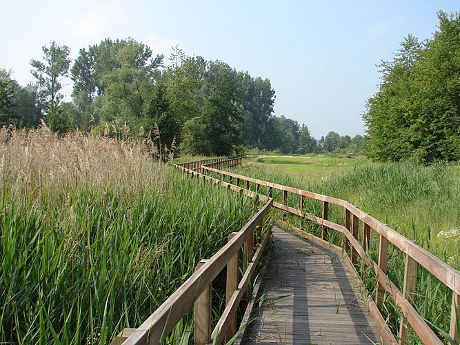 Wachnet Waremme 07 ©