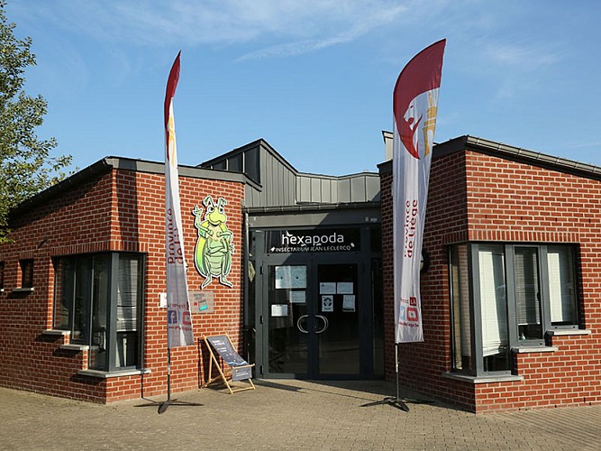 Hexapoda 062A2737 ©