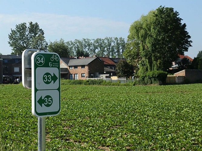 Hexapoda-Waremme 062A8165 ©