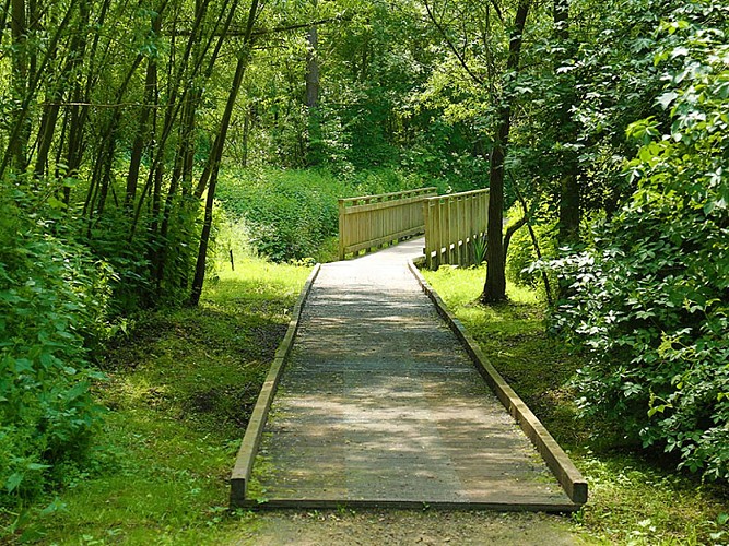 La petite boucle nature - Site naturel du Wachnet