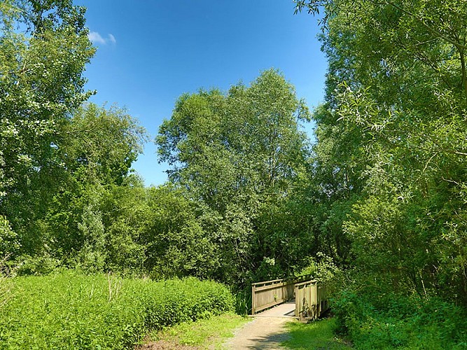 La petite boucle nature - Site naturel du Wachnet