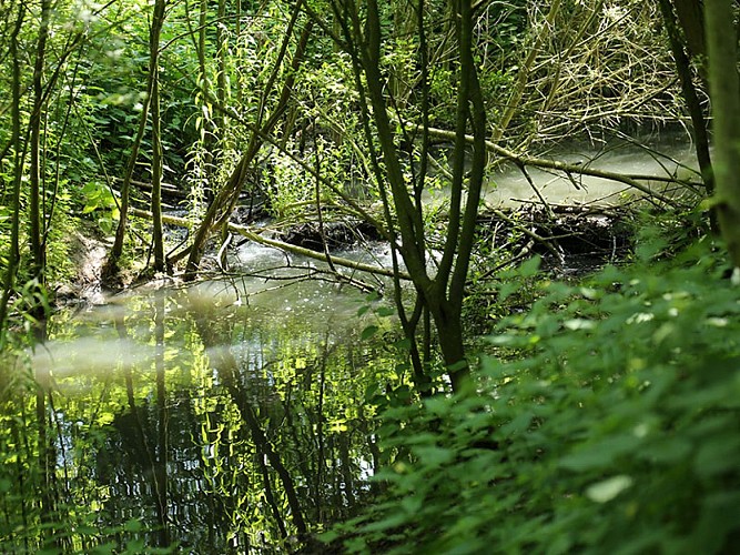 Villages du Geer - Le Geer