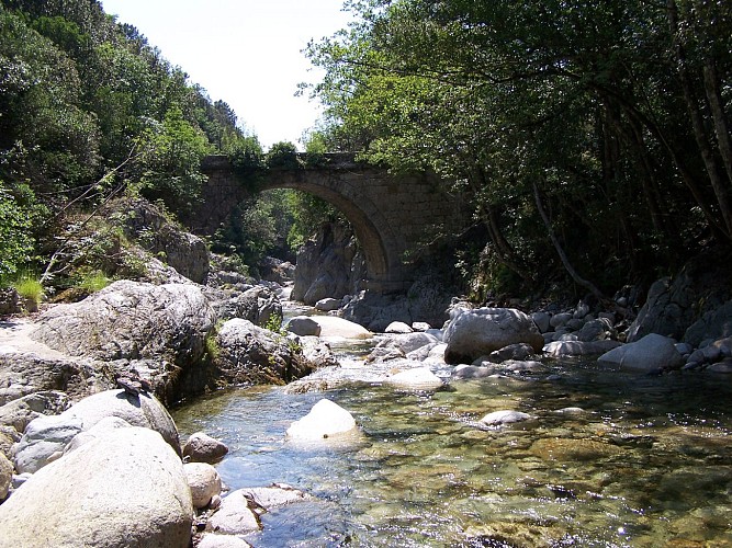 Bocognano - Rivière