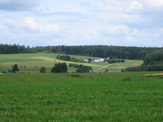 Non balisée - Promenade à Remagne et ND de Lorette