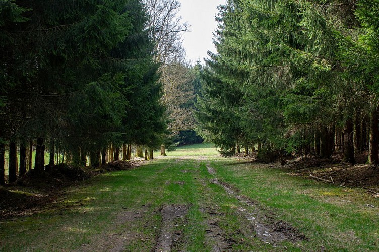 Non balisée Entre Remagne et Freux