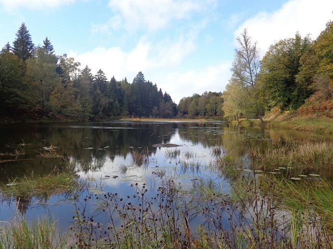 Melisey : Servance Montandré