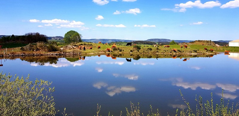 Paysage de l'Échappée des 1000 Étangs