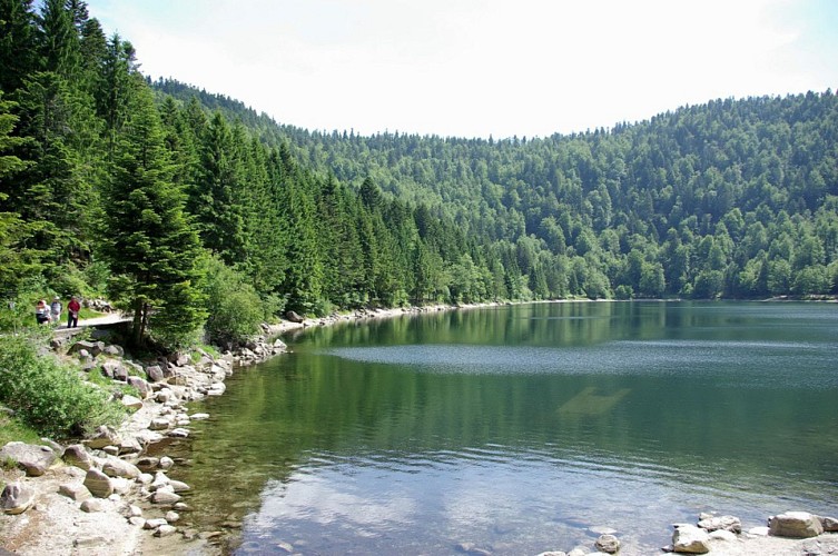 Lac des Corbeaux à La Bresse