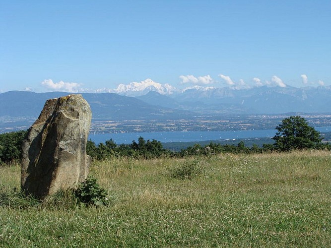 Tour du Léman by bike through the Ain loop