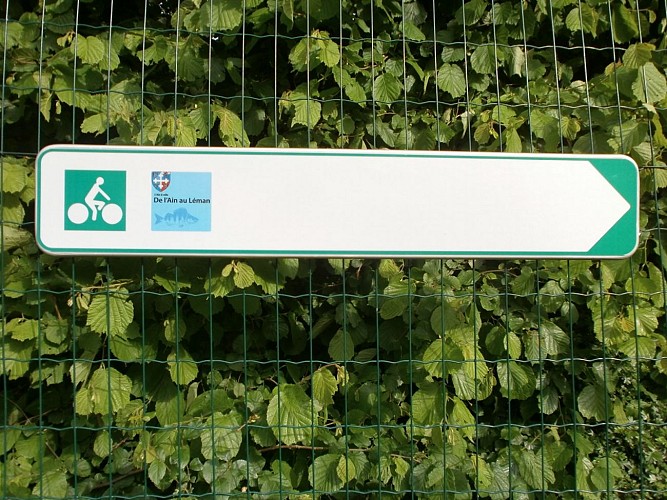 Tour du Léman by bike through the Ain loop