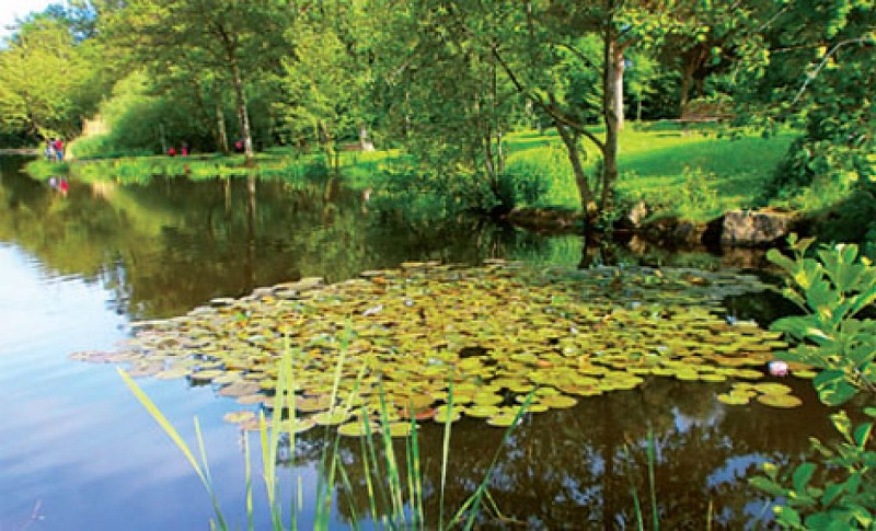 Waterplan van Tutegny Cessy