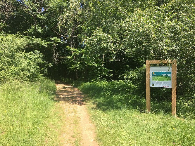 Hiking: Grilly - Mont Mourex