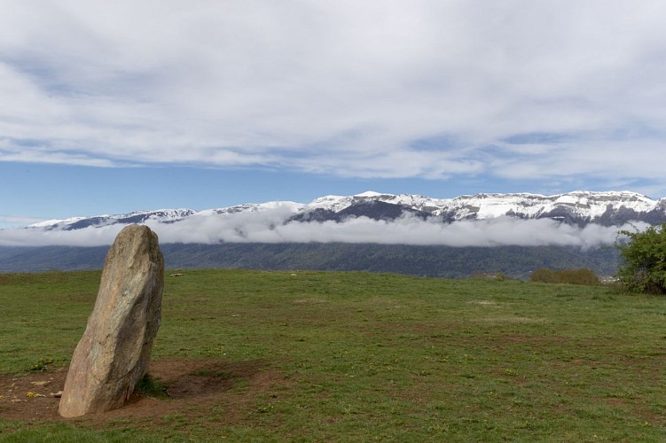 Randonnée pédestre : Grilly - le Mont Mourex_Grilly