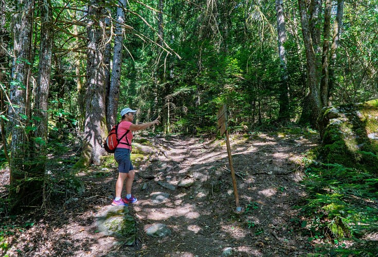 Hiking: the Baptiste stone_Farges