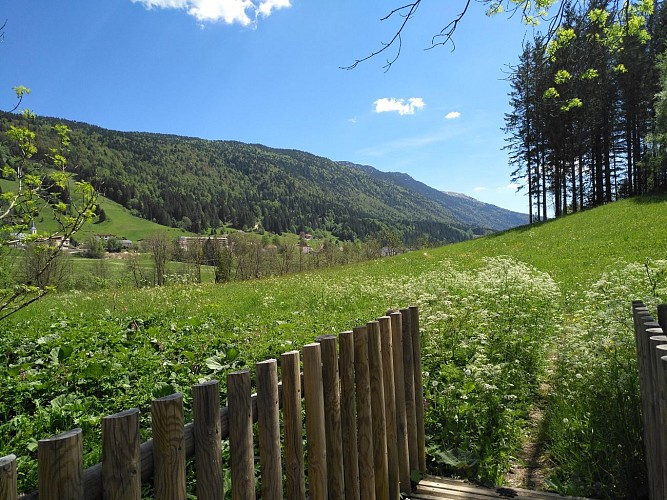Randonnée pédestre : Lélex - La Valserine, rivière sauvage