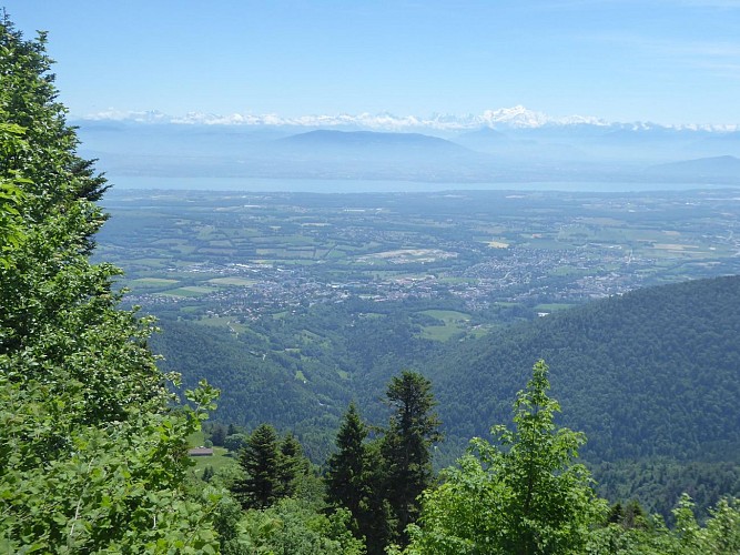 Hiking: Colomby de Gex from Le Pailly