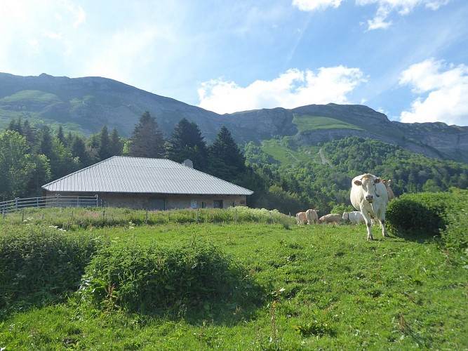 Hiking: Colomby de Gex from Le Pailly