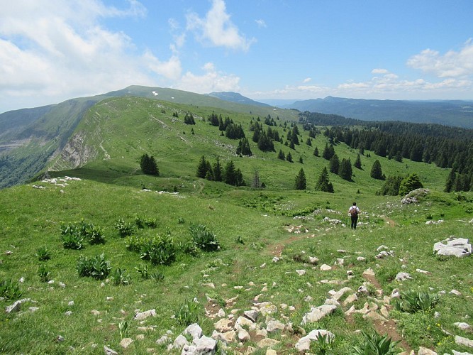 Uitzicht op de bergkammen