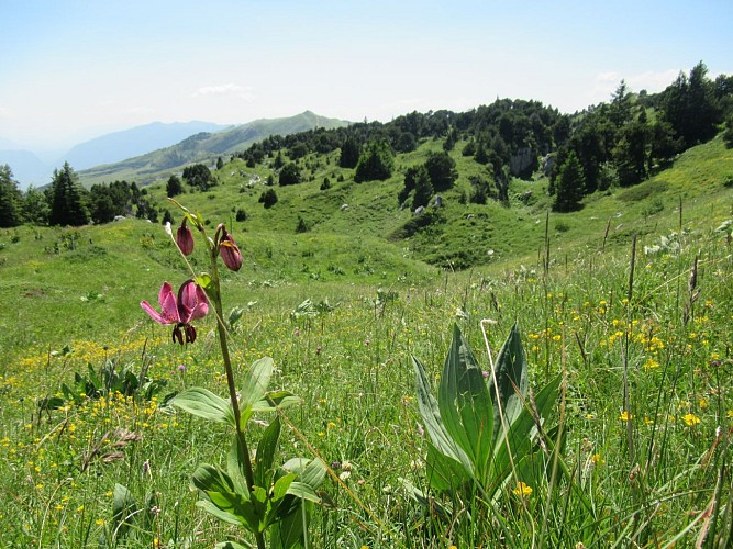 Wandern: Die hohen Gipfel von Lélex aus