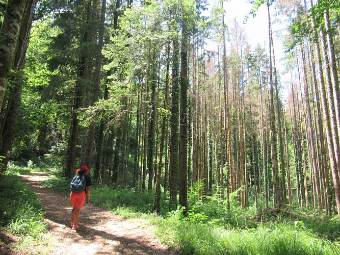 Wandern: der Creux de l’Envers