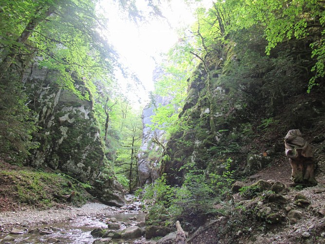 Hiking: Le Creux de l'Envers