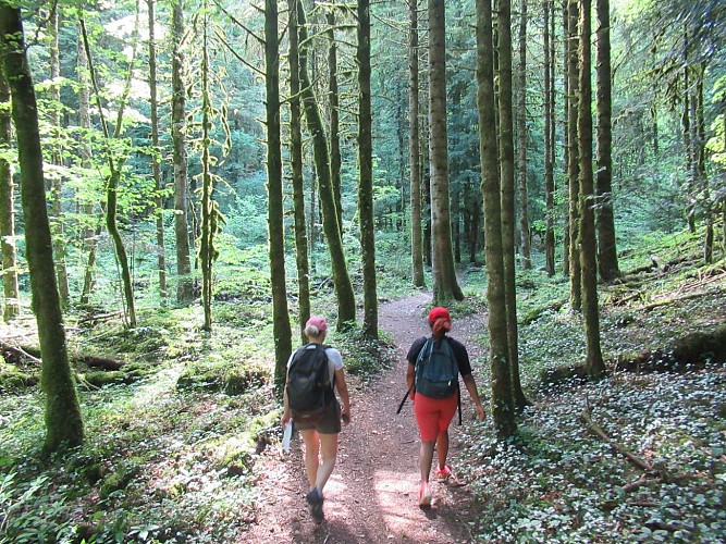 Hiking: Le Creux de l'Envers