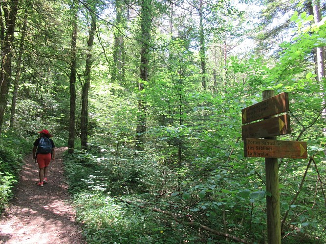 Hiking: Le Creux de l'Envers