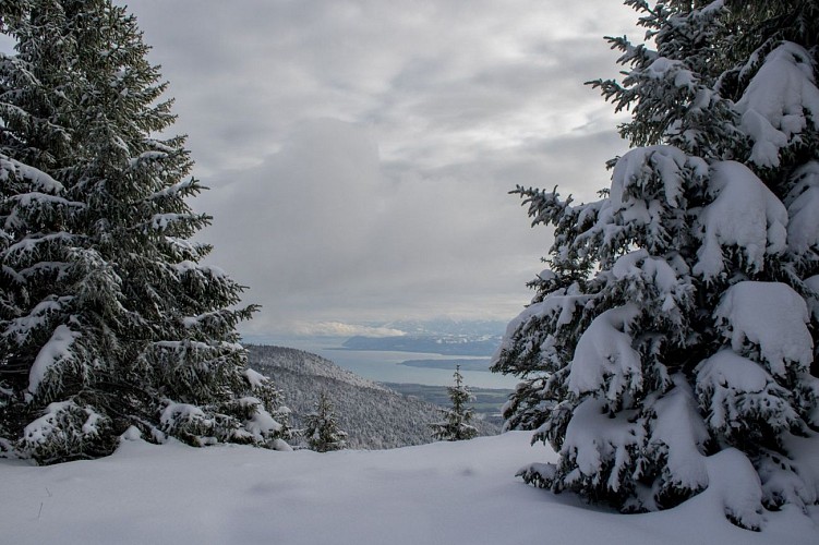 Schneeschuhpfad von La Faucille nach Le Turet