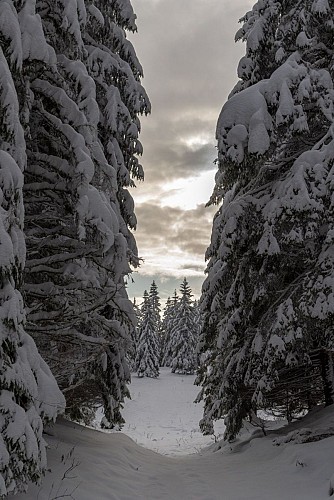 Snowshoe trail from Faucille to Turet
