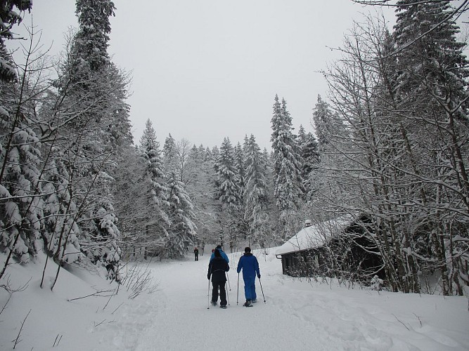 Sentier raquettes de la Faucille au Turet_Gex