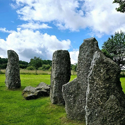 495541420_1302811405180790_4034053799637865656_n