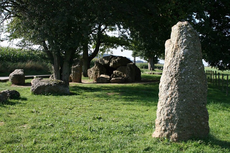 11794388_10153427668445428_7261910854358992827_o