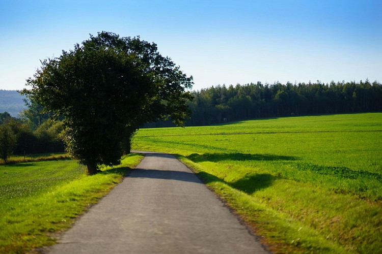 MTFA_GRUNE_15092020_002